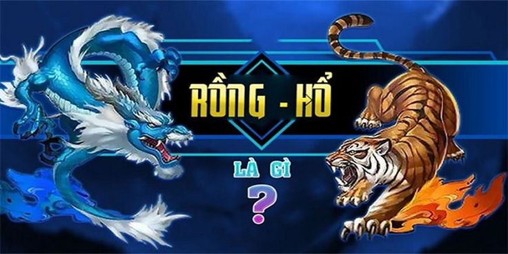 Live Rồng Hổ Là Gì
